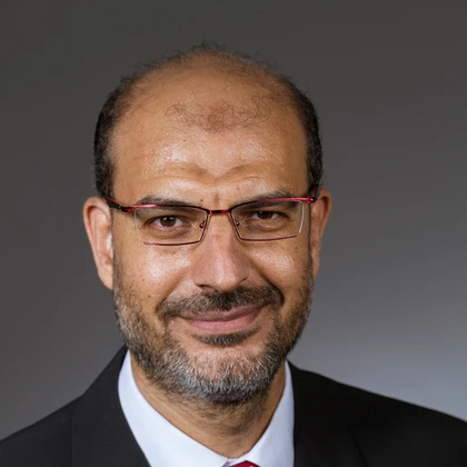 Photo of Abdel Hameed Badawy